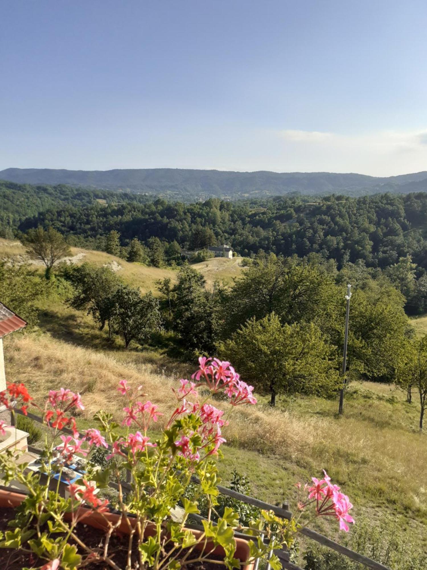 Cascina Merlo Country House Pareto エクステリア 写真
